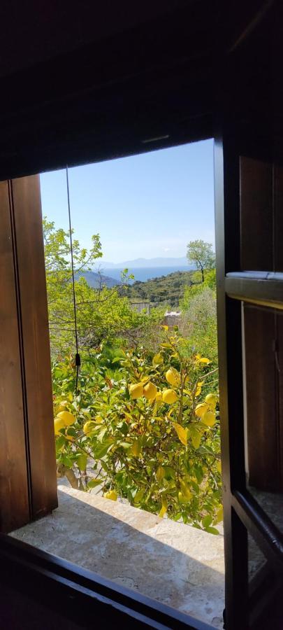 Alikias Country House Panormos  Ngoại thất bức ảnh