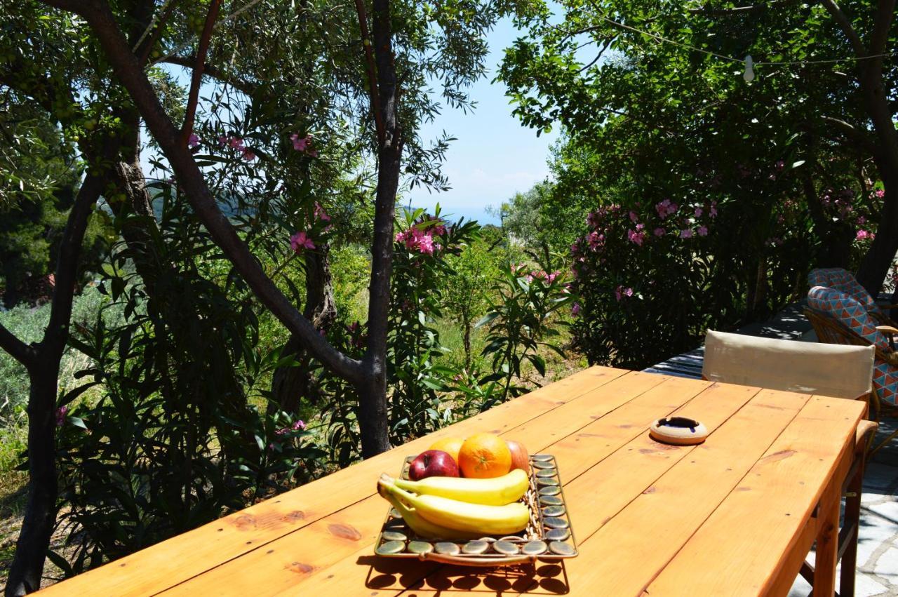 Alikias Country House Panormos  Ngoại thất bức ảnh