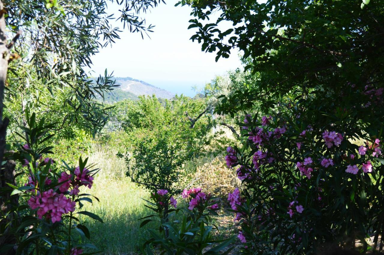 Alikias Country House Panormos  Ngoại thất bức ảnh