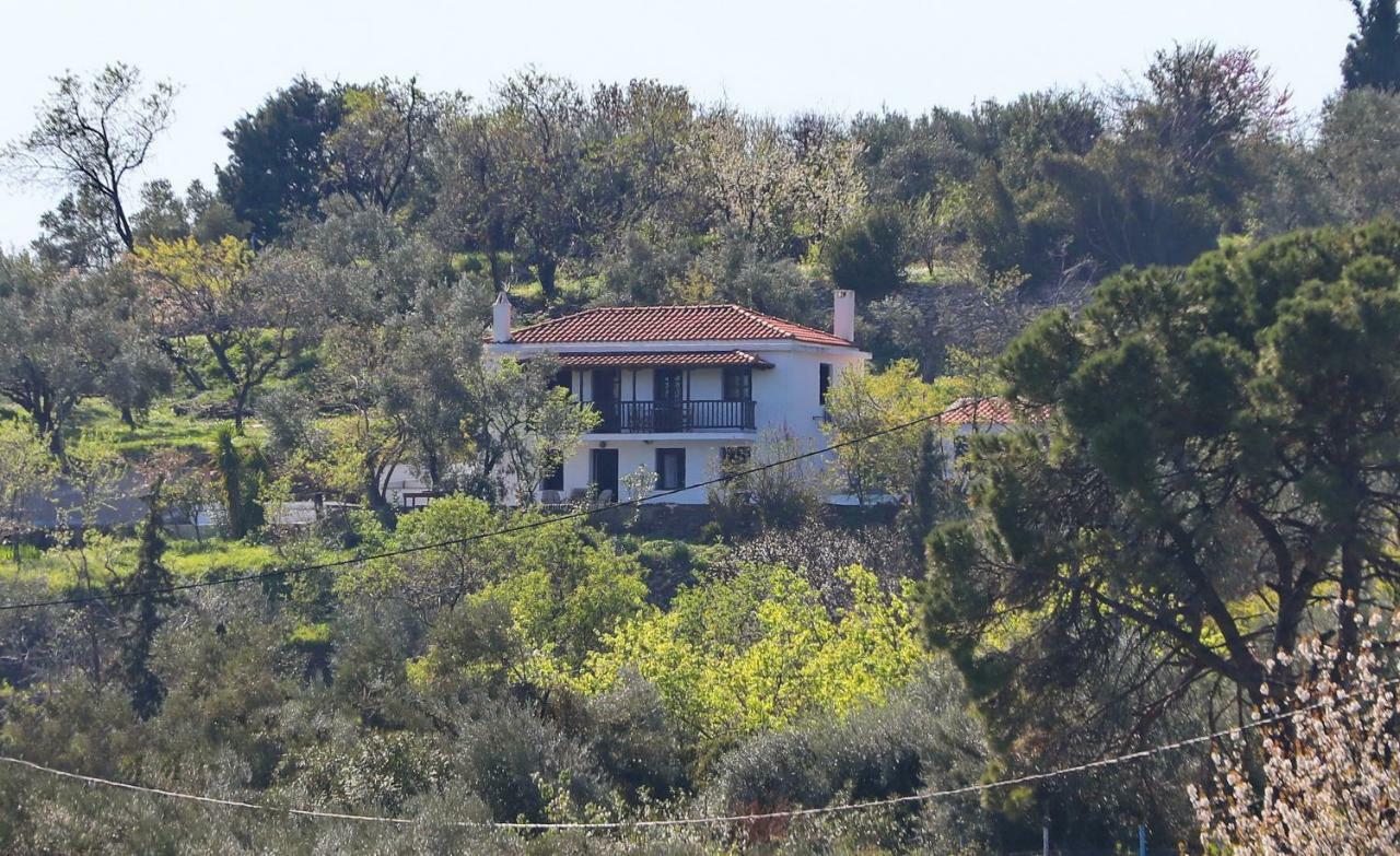 Alikias Country House Panormos  Ngoại thất bức ảnh